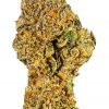 The 10 Most Strongest Marijuana Strains