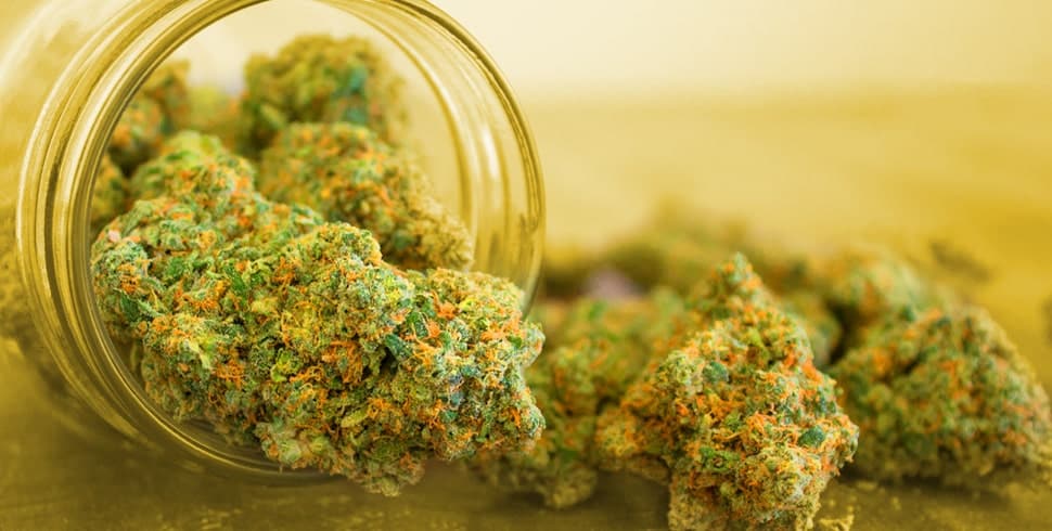 How To lawfully get Weed on-line And Have It Delivered To Your Door 